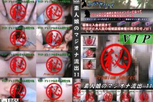 F-1865 素人娘のマジオナ流出 11