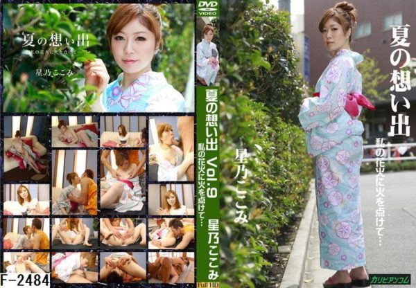 F-2484 夏の想い出 Vol.9