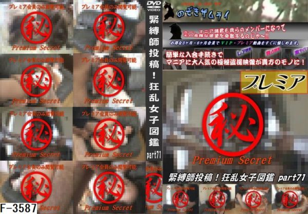 F-3587 緊縛師投稿！狂乱女子図鑑 part71