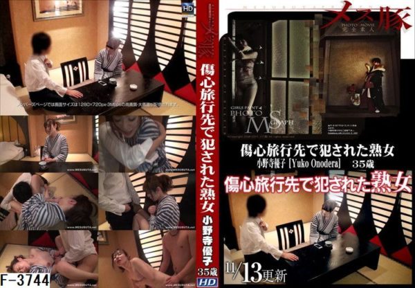 F-3744 傷心旅行先で犯された熟女